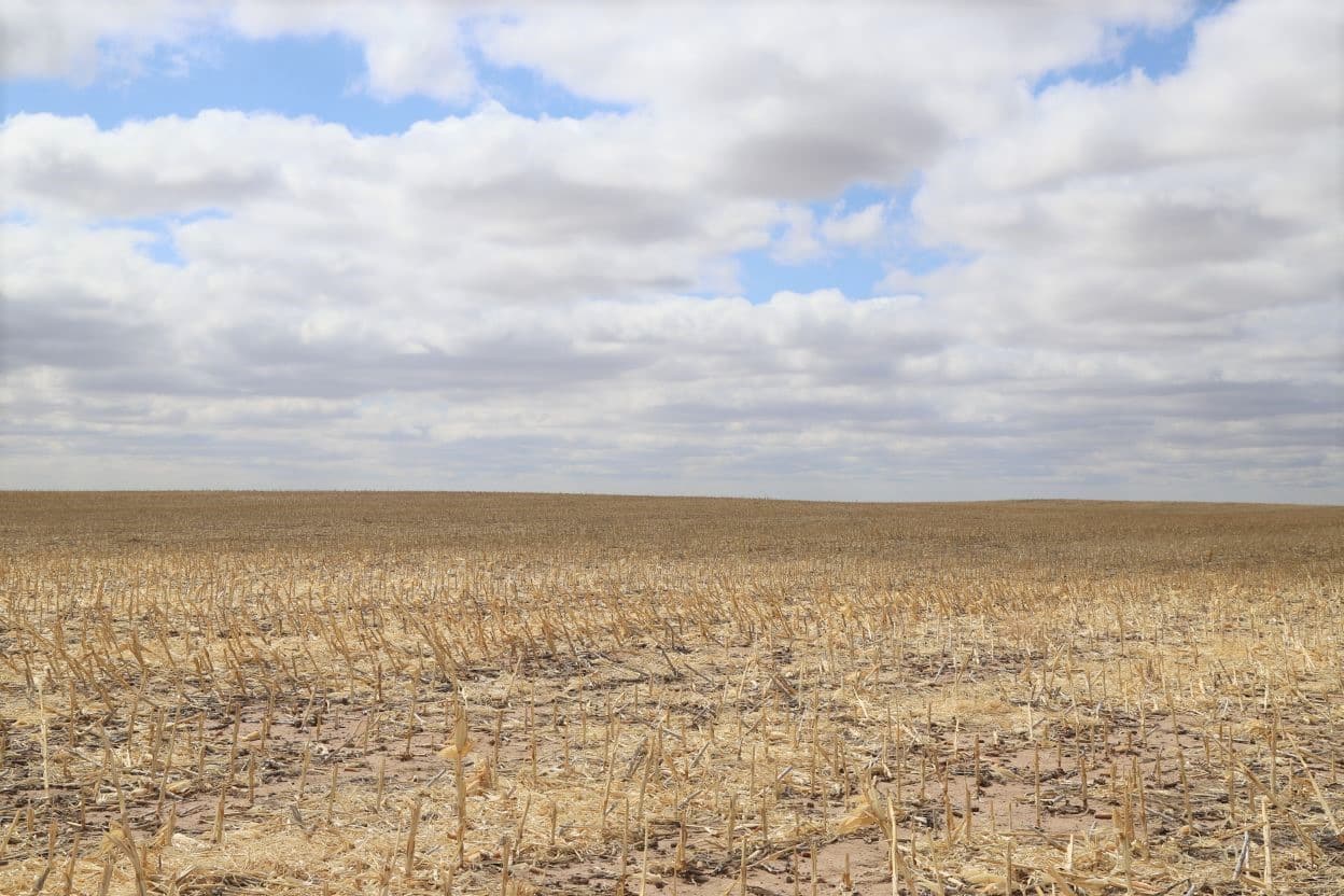 SW Sedgwick County Dryland Auction Reck Agri