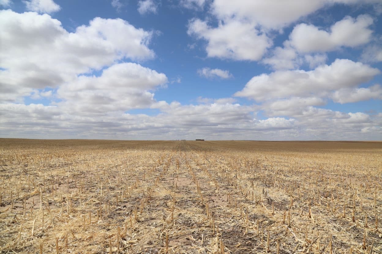 SW Sedgwick County Dryland Auction Reck Agri