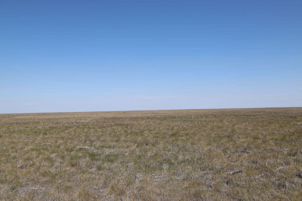 Nebraska Panhandle CRP Land Auction Reck Agri