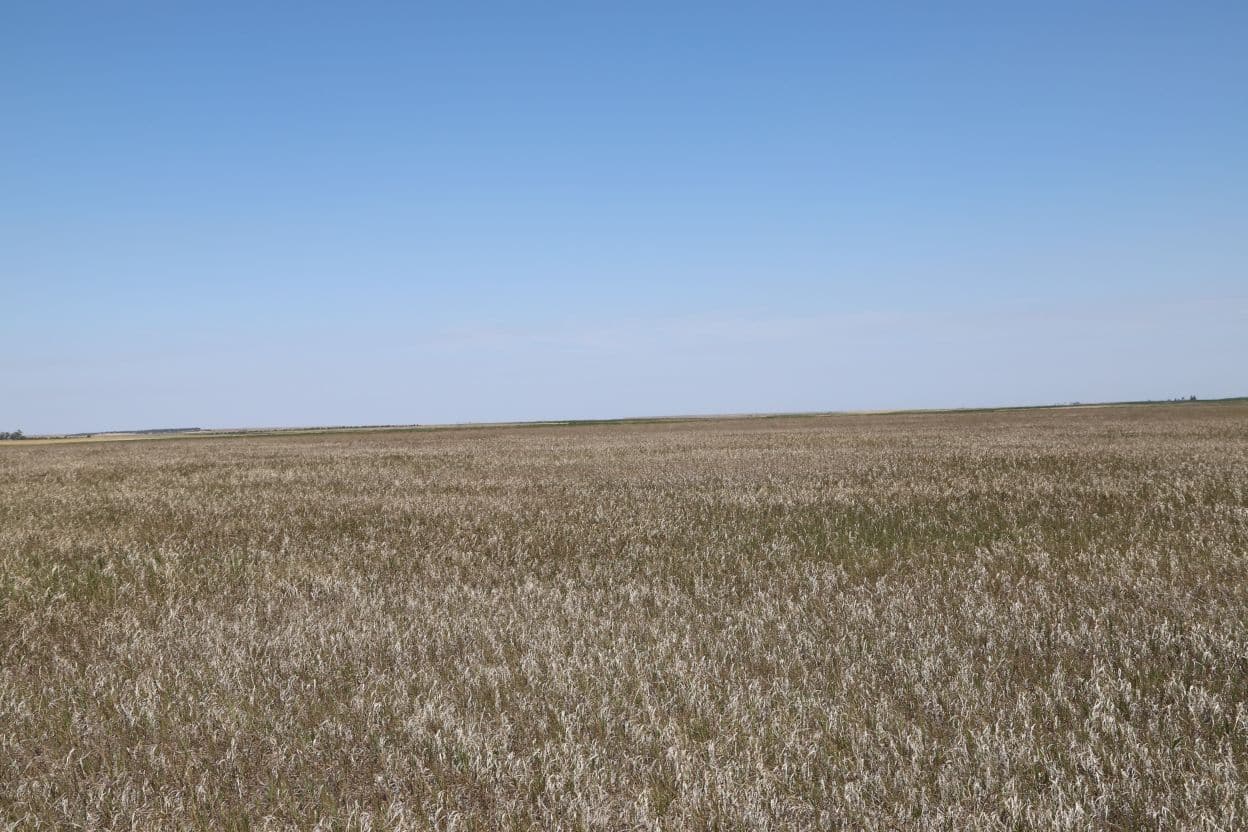 Nebraska Panhandle CRP Land Auction Reck Agri