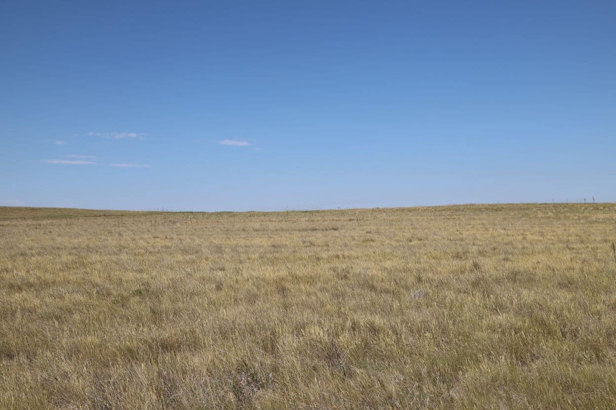 Nebraska Panhandle CRP Land Auction Reck Agri