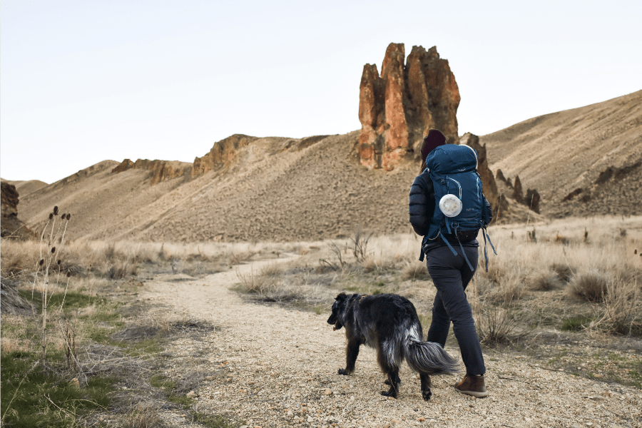 How To Train Your Dog For Hiking