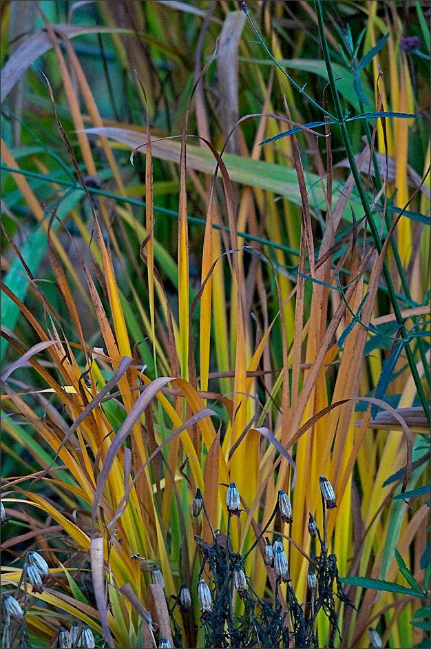 image4 reclamation magazine