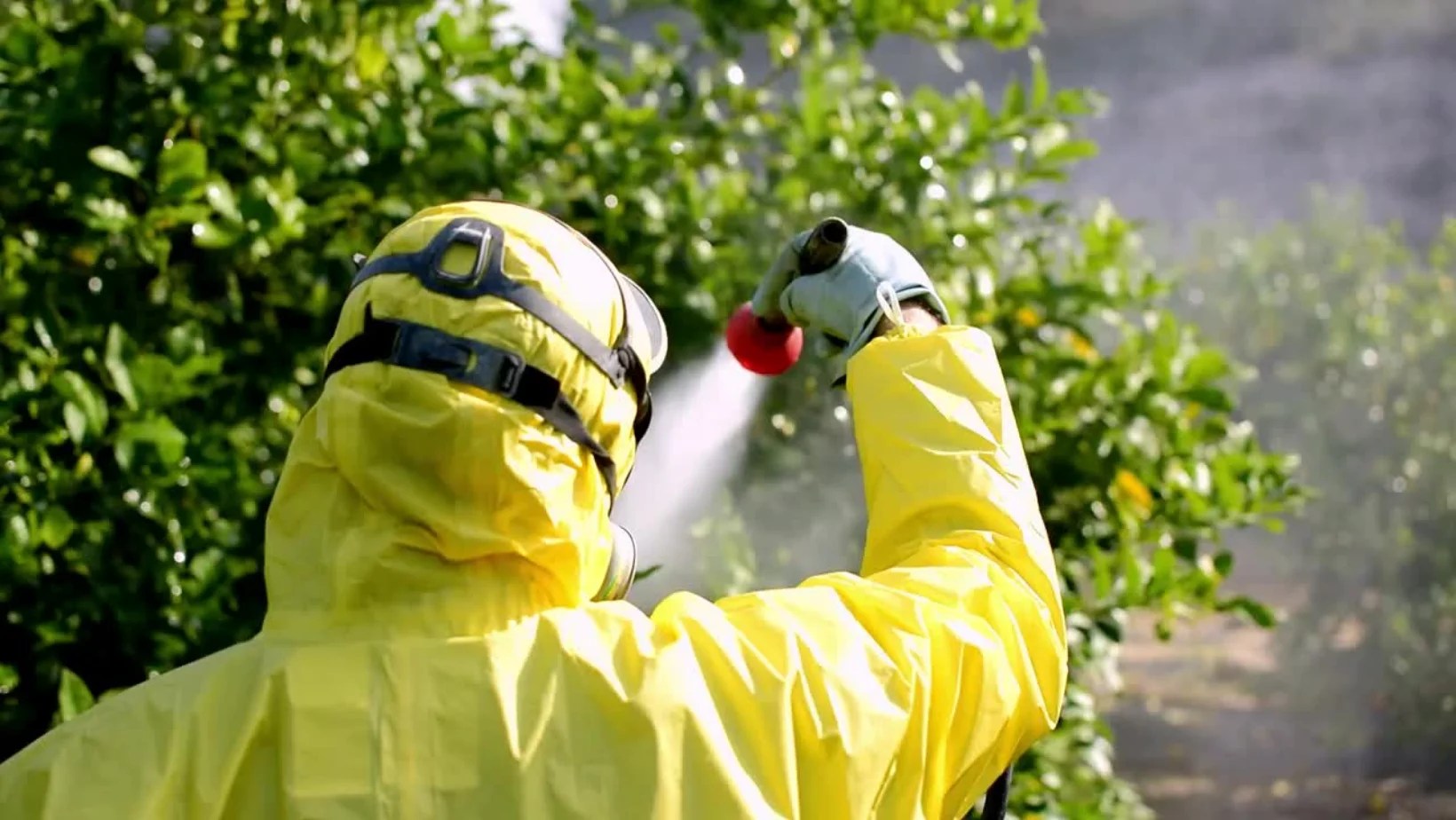 Top 15 Pest Control Services in Gold Coast Pest Control Services in