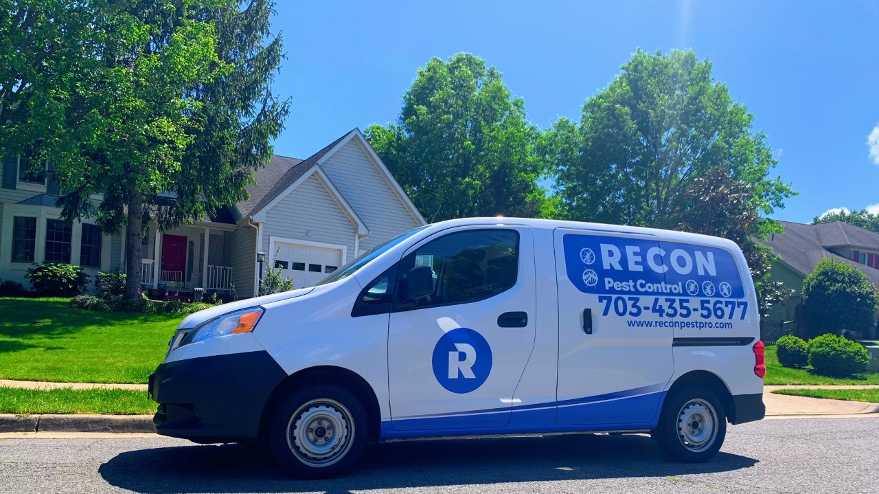 Northern Virginia Pest Control Recon Pest Control