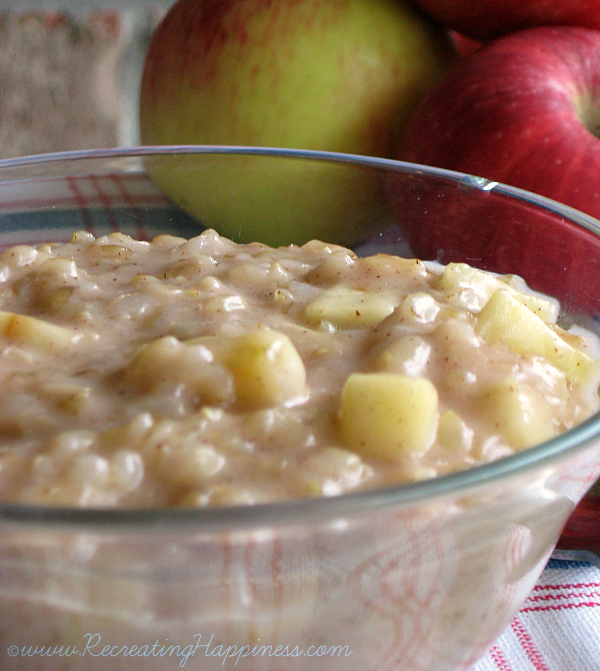 Apple Rice Pudding {Top 8 + Gluten Free}