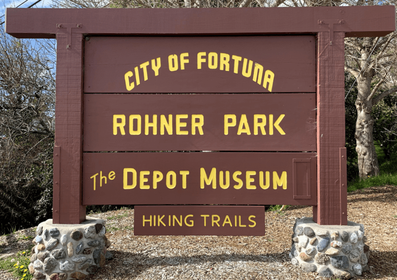 Rohner Park Redwood Trails Hiking Trails in Fortuna, California