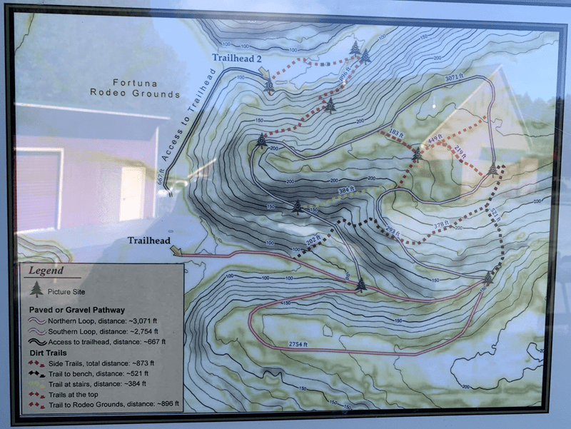 Rohner Park Redwood Trails Hiking Trails in Fortuna, California