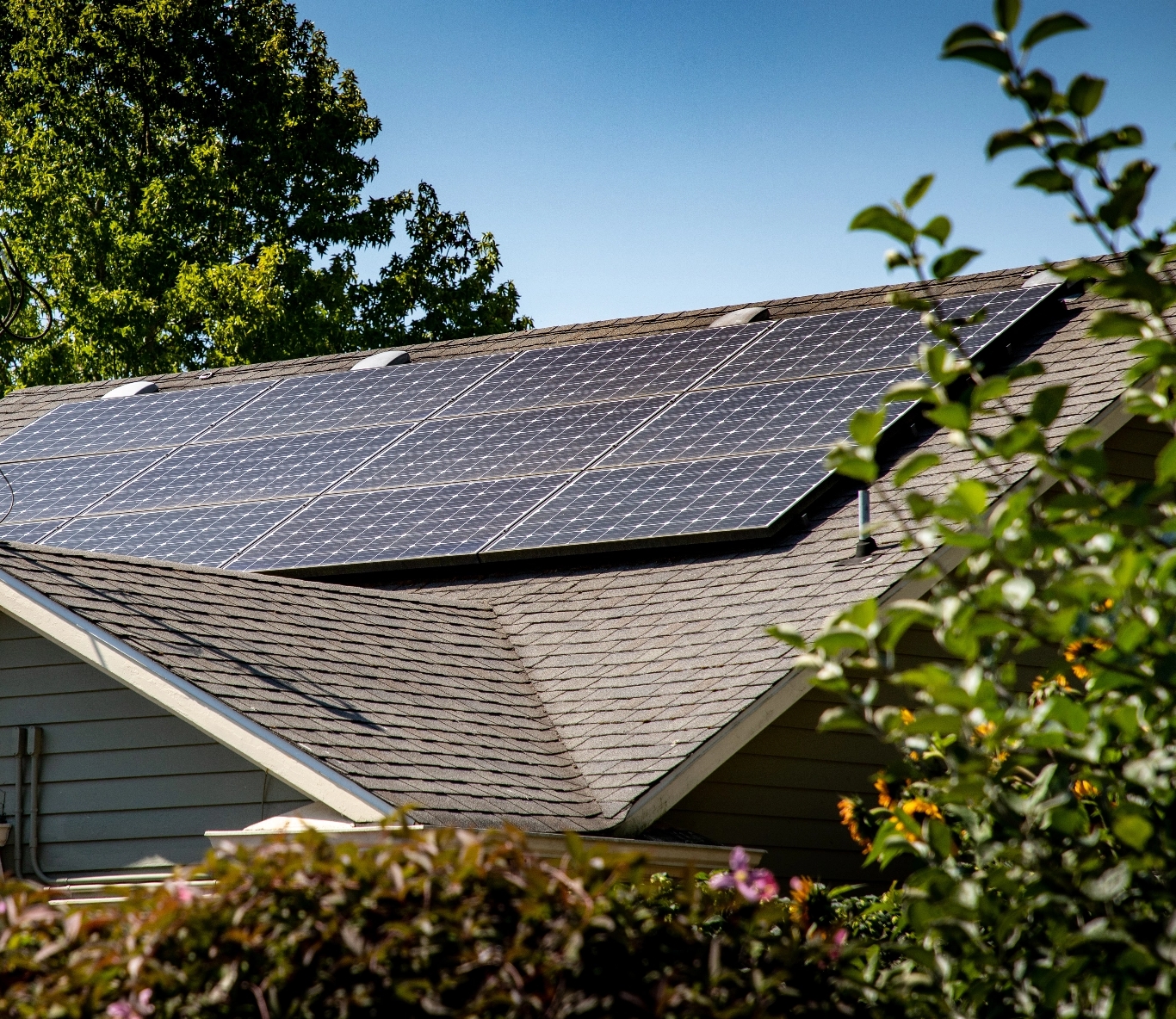 Rector Solar Central IL Solar & Roofing Experts