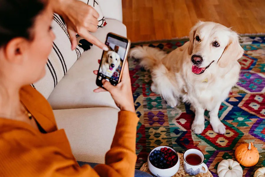 Pet Influencer Guide How to Make Your Pet Famous in 2025