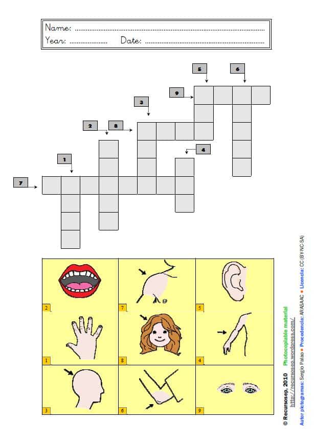Partes del cuerpo en INGLÉS RECURSOSEP
