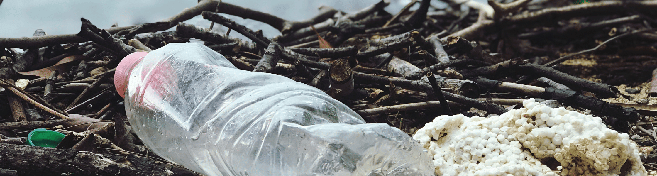 Harmful Effects Of Plastic On Humans