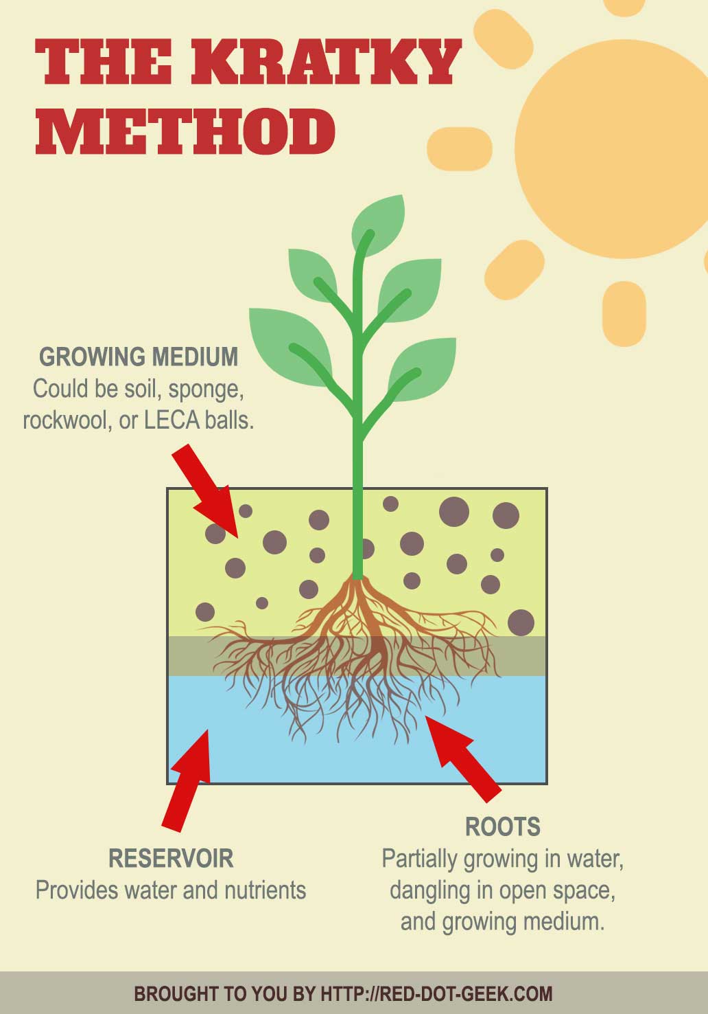 Simple Homemade Hydroponics (With Recycled Bottles)