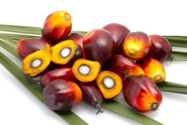 The red palm oil uses only the best fruit Red Palm Oil
