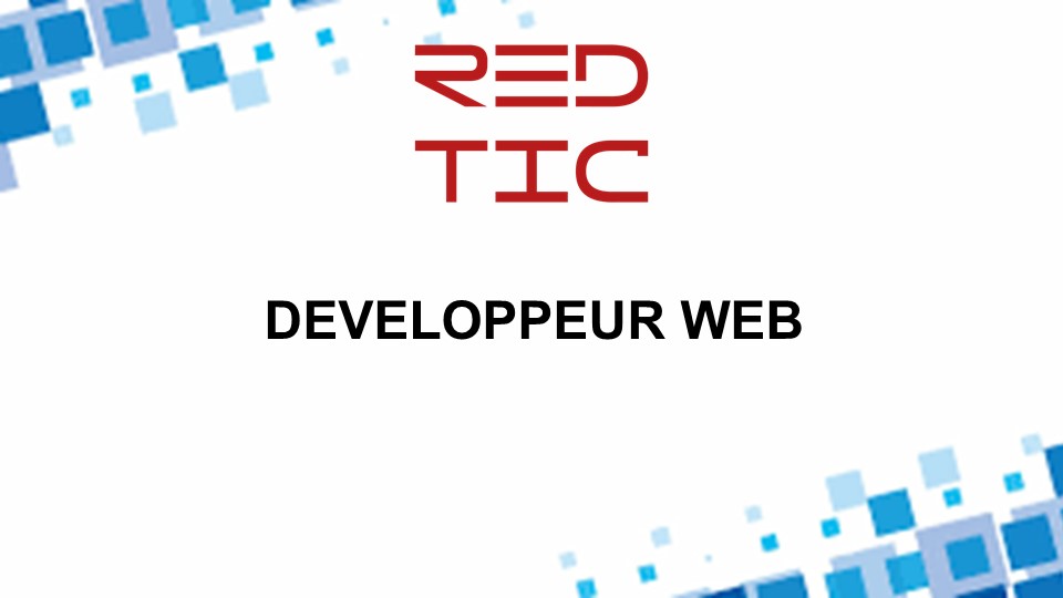 DÉVELOPPEUR WEB RED TIC