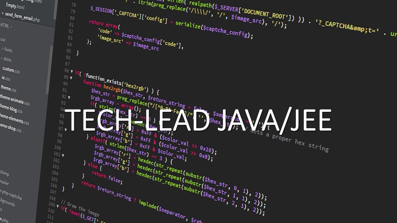 JAVA/JEE TECHLEAD RED TIC