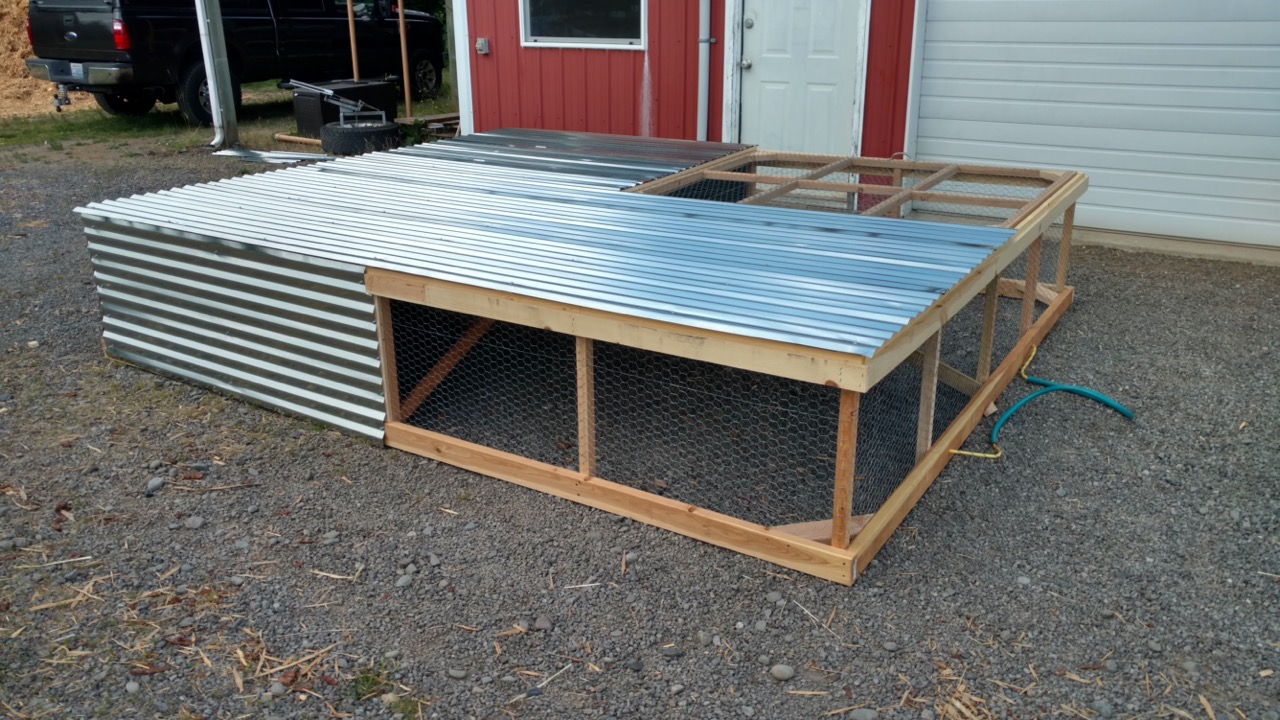 Pastured Poultry Red Alpha Farms