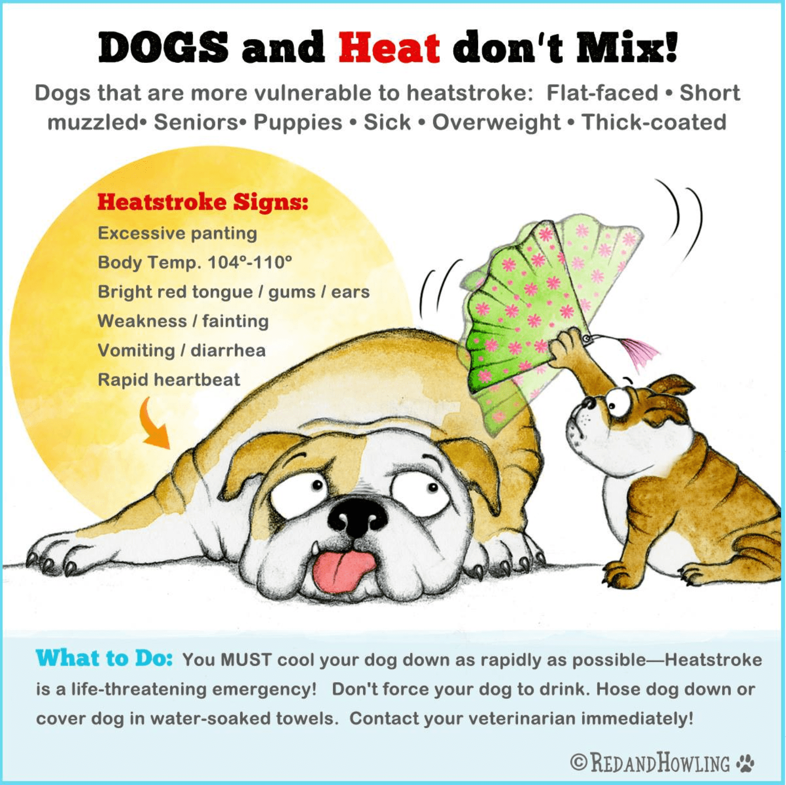 dogs and heat