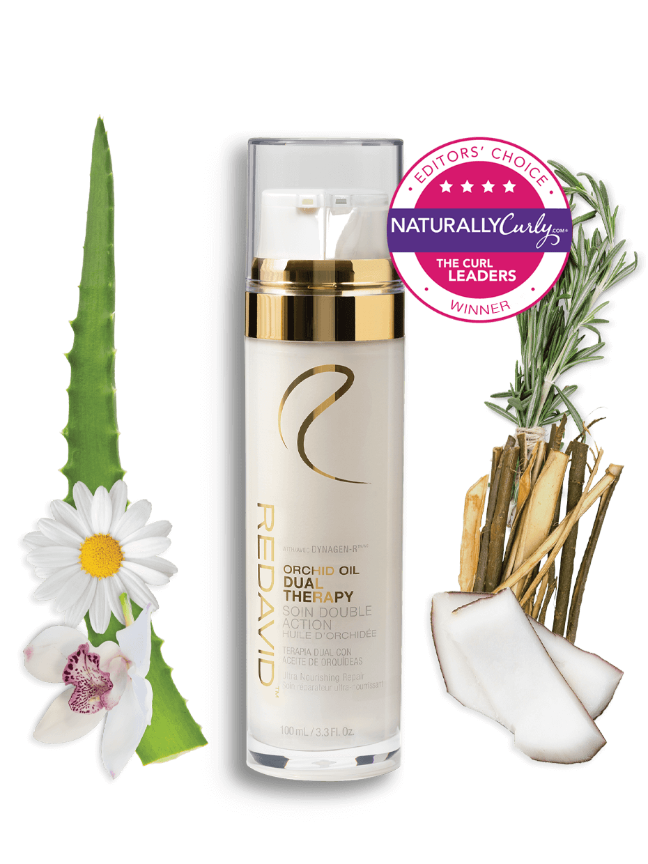 Cymbidium Grandiflorum Orchid Flower Extract Best Flower Site