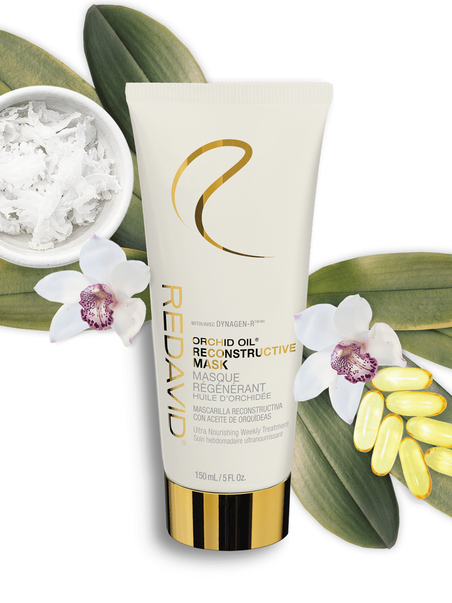 Cymbidium Grandiflorum Orchid Flower Extract Best Flower Site