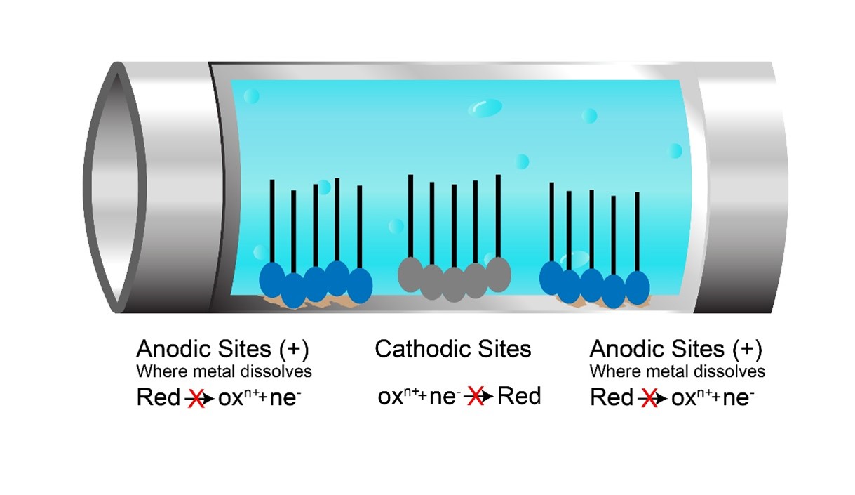 Corrosion Inhibitors REDA Water