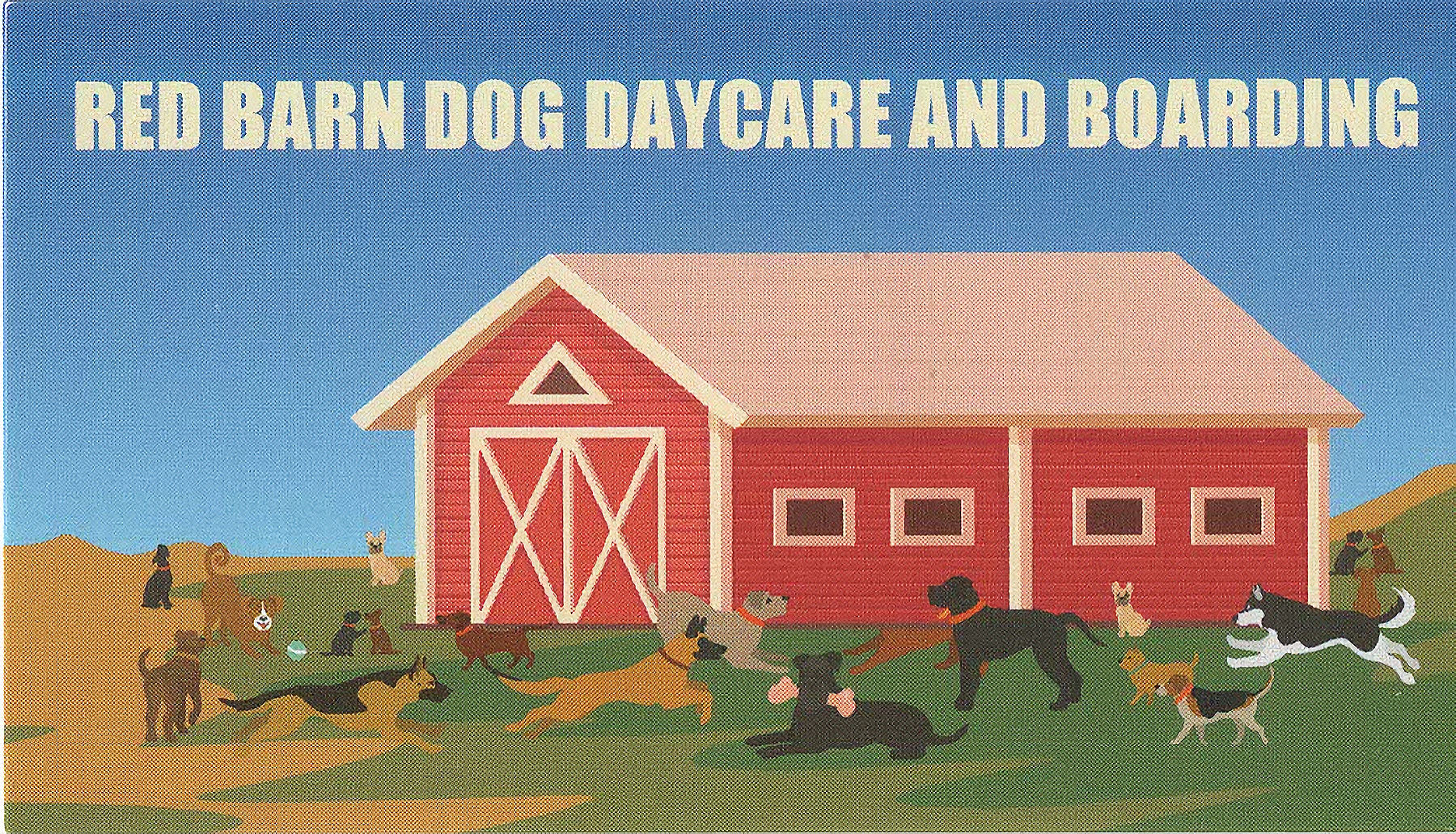 Gallery Red Barn Dog Boarding & Daycare