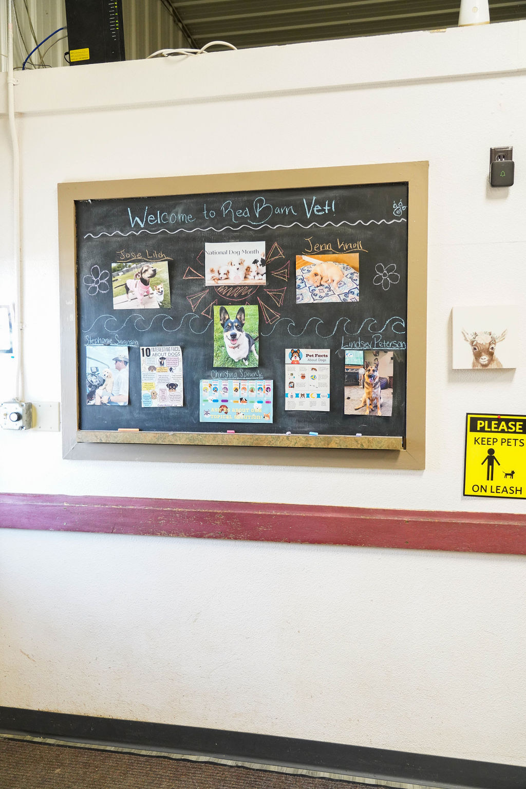 Veterinary Services in Sheldon & Gwinner, ND Red Barn Veterinary Services