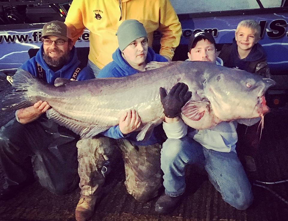 Record Breaking Fish! Guided catfishing trips on Kerr Lake