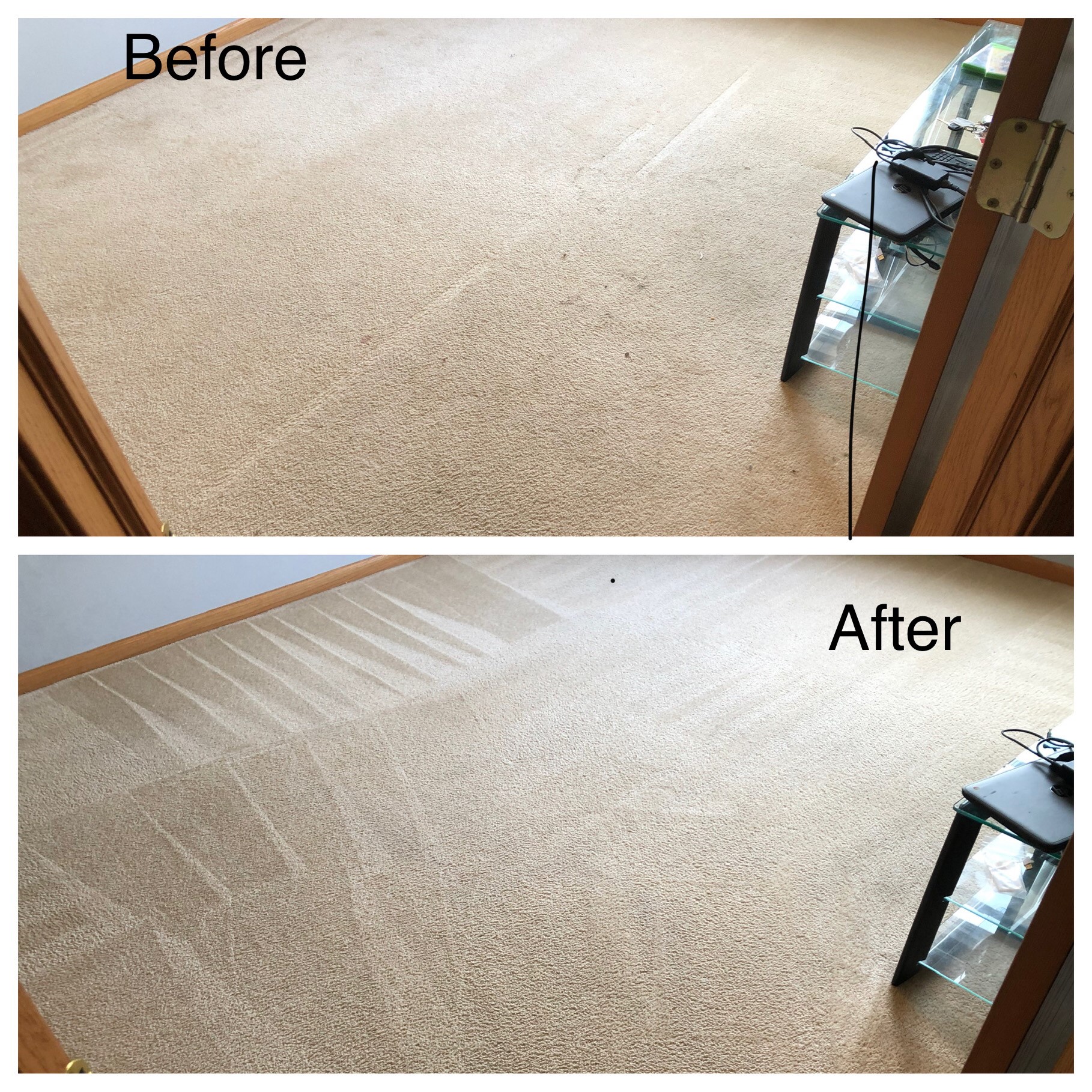 Carpet Red Bear Carpet Cleaning