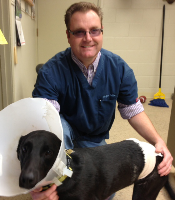 Red Bluff Vet Clinic Staff