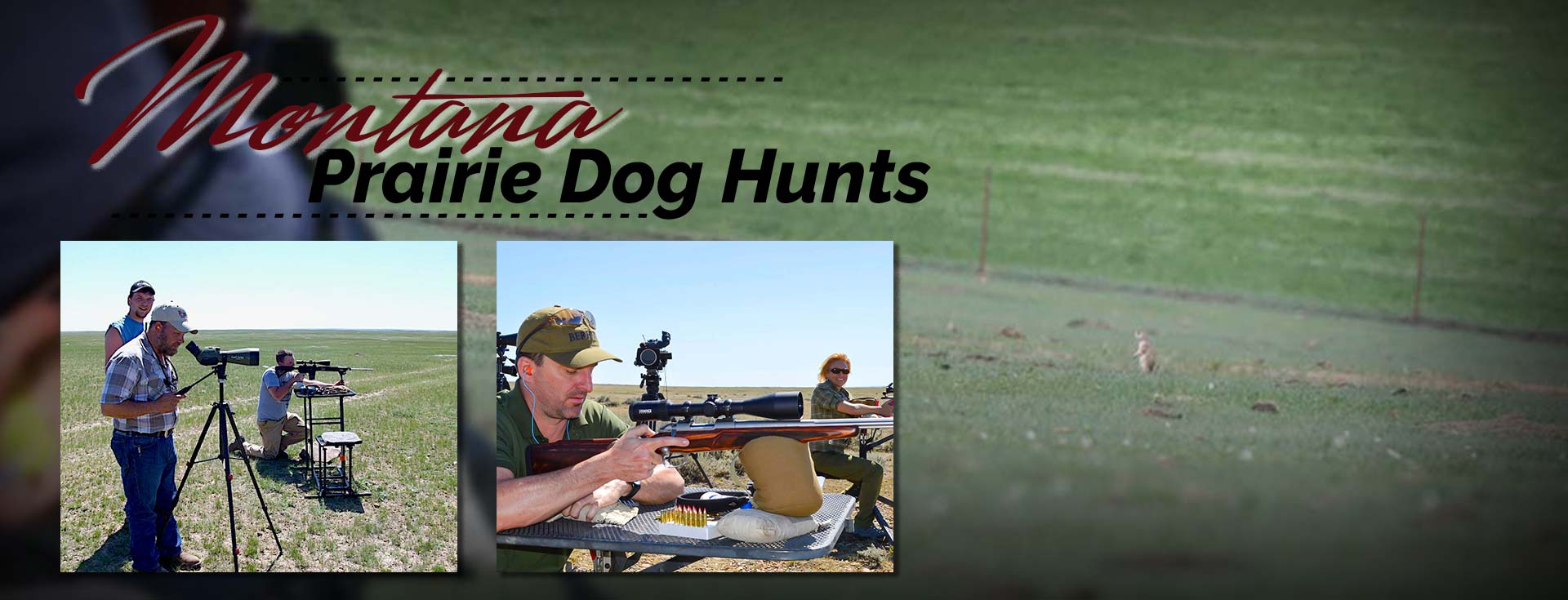Prairie dog hunting Prairie dog hunt Prairie dog guide