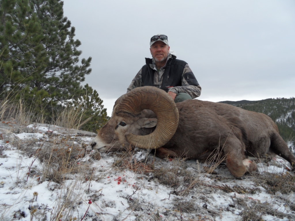 Montana Bighorn Sheep Hunting Guide & Outfitter for the Missouri Breaks