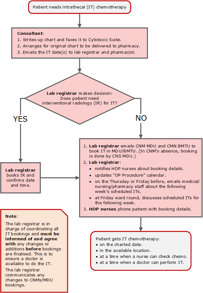 Lumbar Puncture Procedure