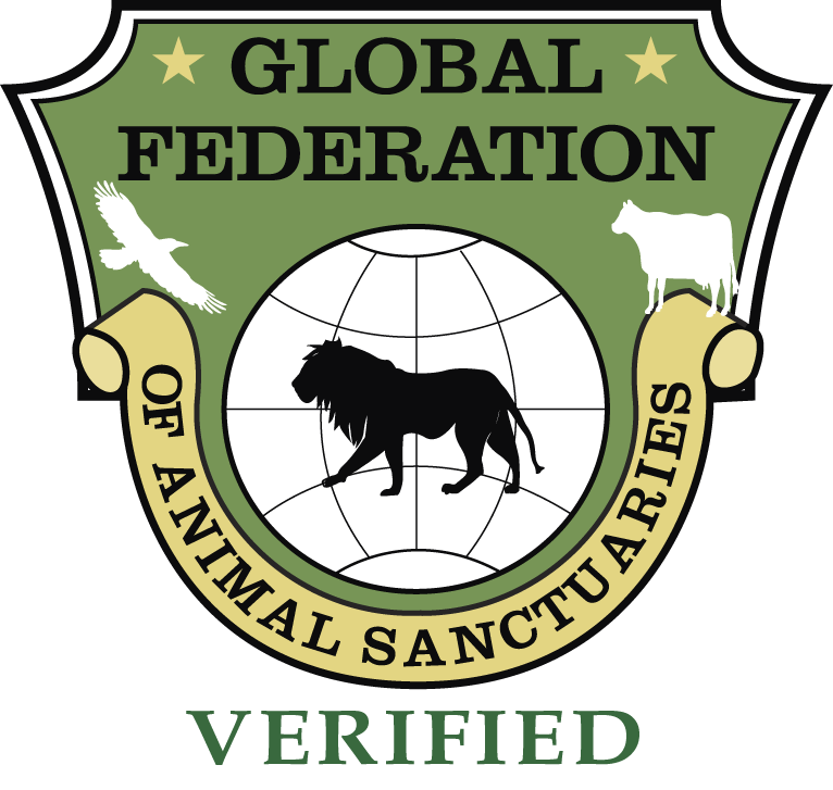 Red Bucket Equine Rescue in California is Verified by the Global