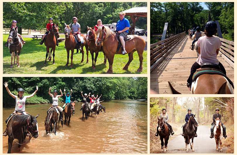 Red Buffalo Ranch Trail Rides