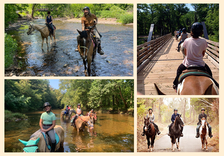 Red Buffalo Ranch Trail Rides