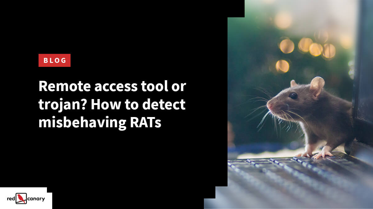 How To Detect Rats Elevatorunion6