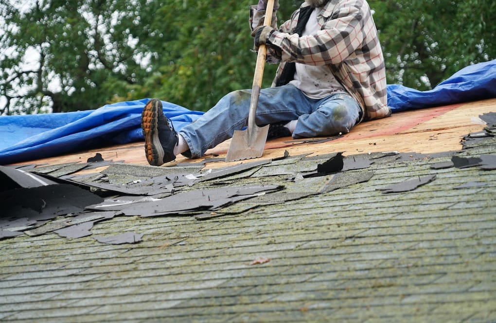 Tool To Remove Shingles at Clyde Lavergne blog