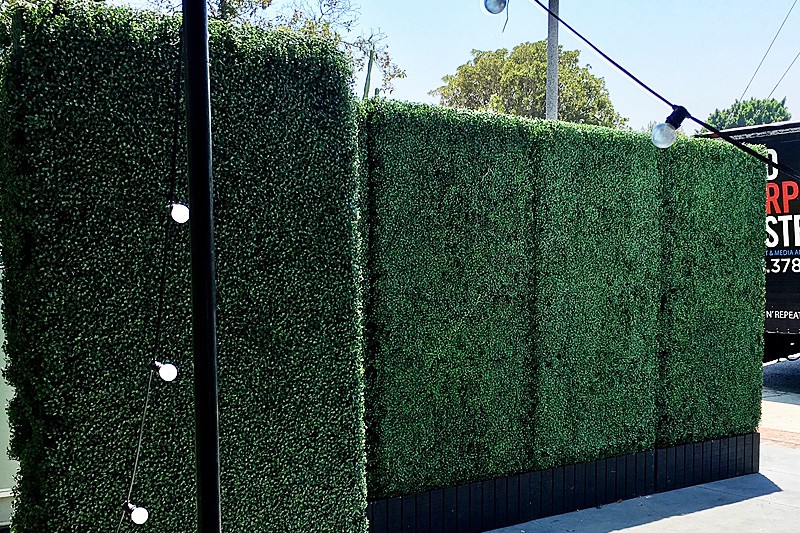 Hedge Wall Rental Artificial Green Boxwood Panels Los Angeles