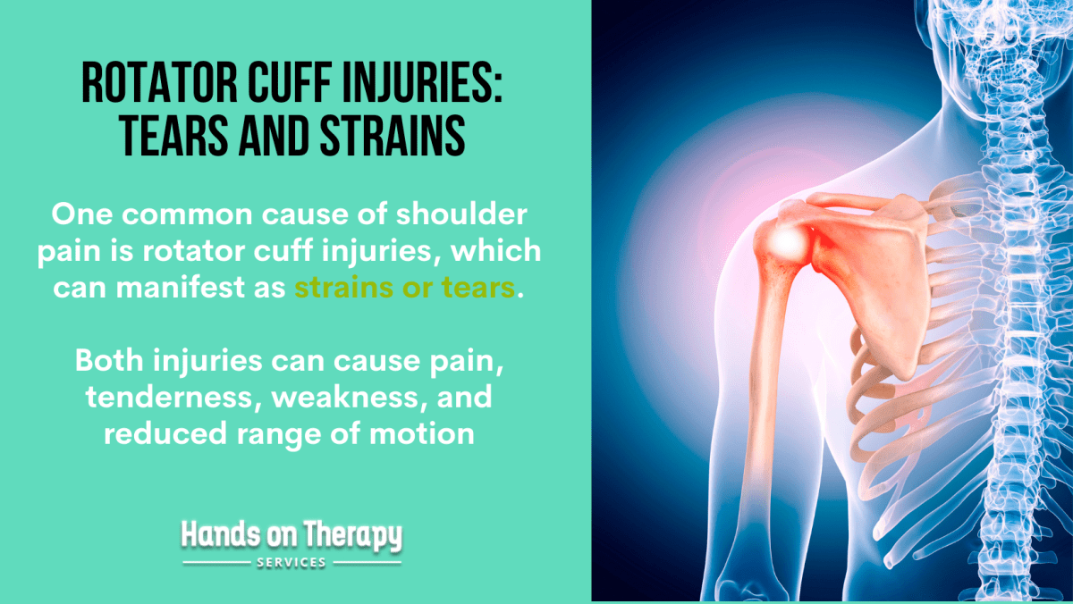 News just in from our client, Hands on Therapy about Decoding Shoulder