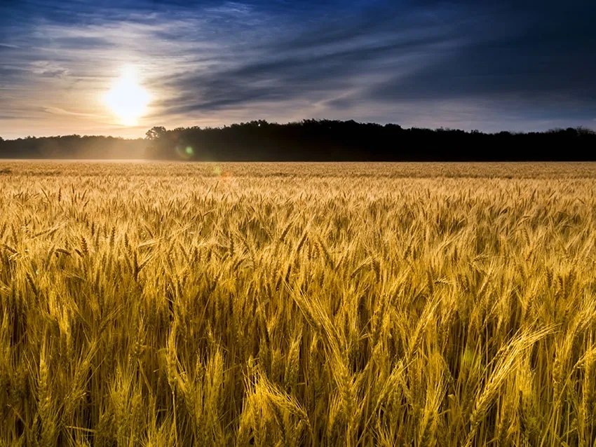 Kansas, Missouri, & Oklahoma Land For Sale Red Cedar Land Co.