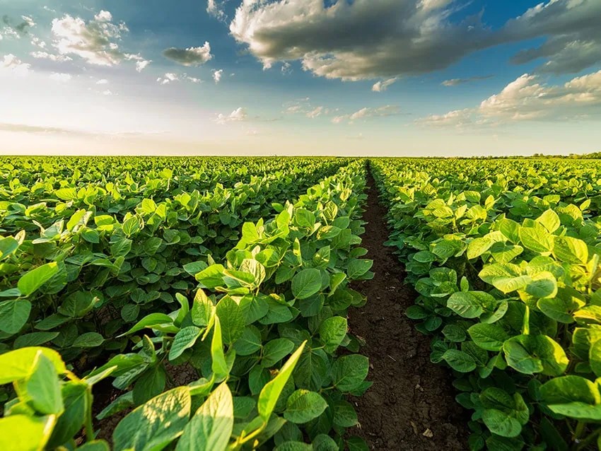 Kansas, Missouri, & Oklahoma Land For Sale Red Cedar Land Co.