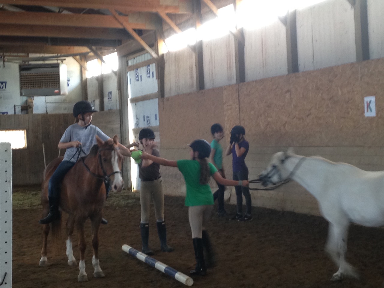 Summer Riding Program Red Coat Farm