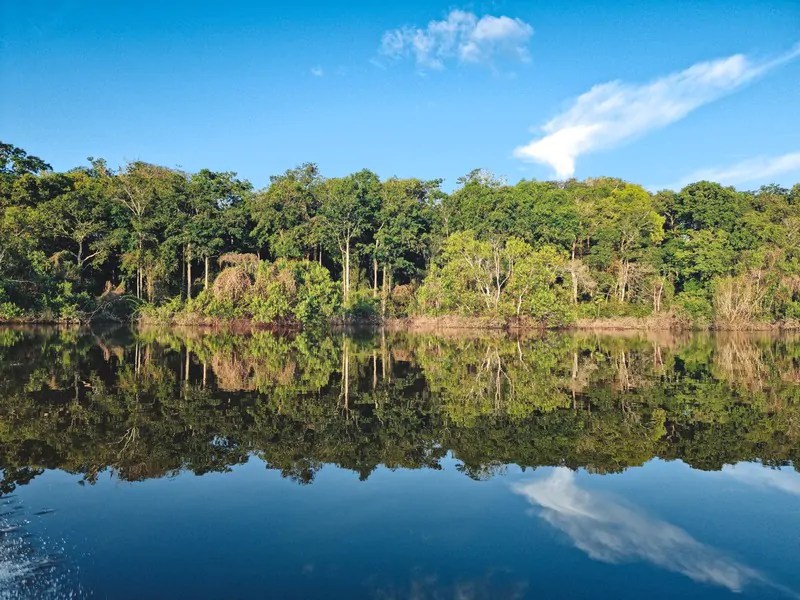 Amazon Basin How important is it?