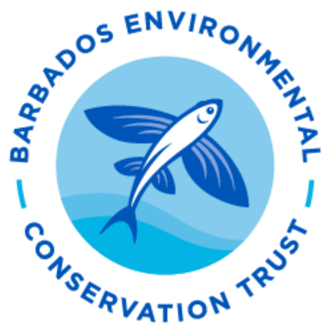 Red Diamond Compost The Journey Red Diamond Compost