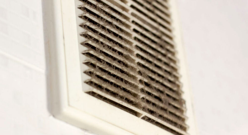 HVAC Tips for Pet Owners Reddi HVAC