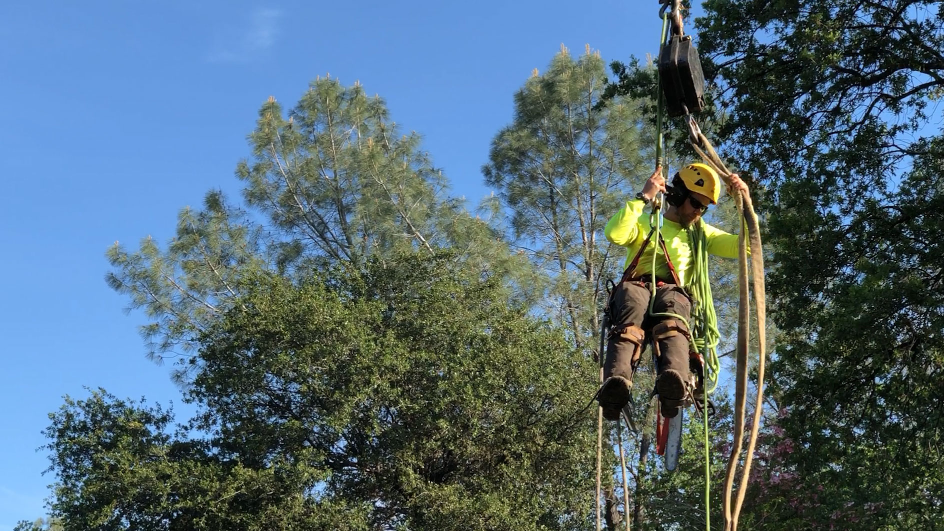 Redding Tree Service Inc. Serving Northern California Since 1980