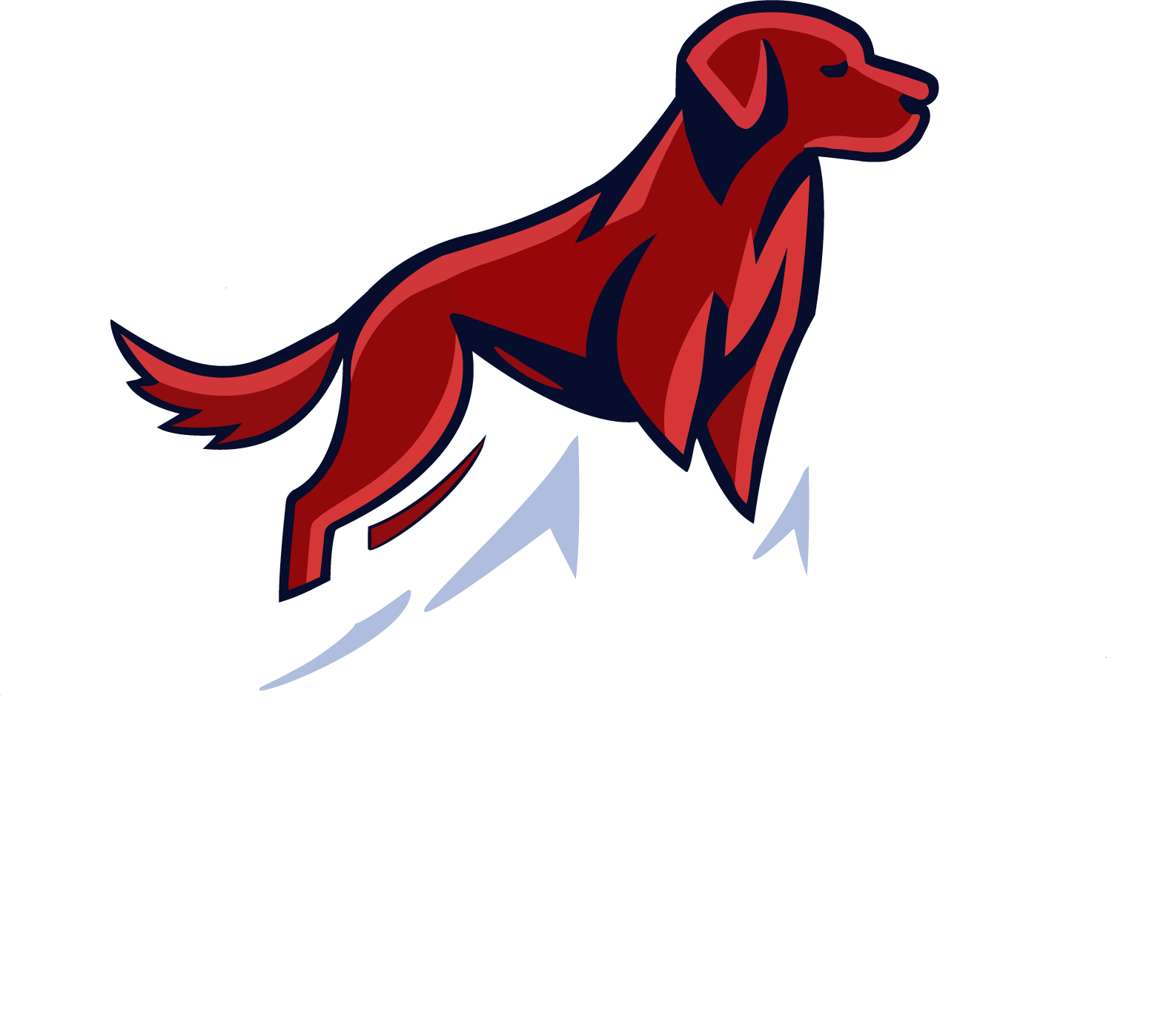 About Us Red Dog Advisors