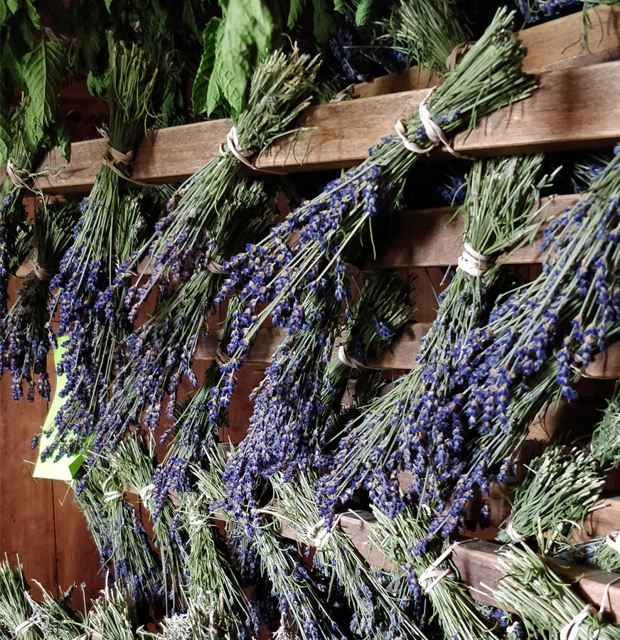 Shaker Village Herb House, Sabbathday Lake Red Dot Studio