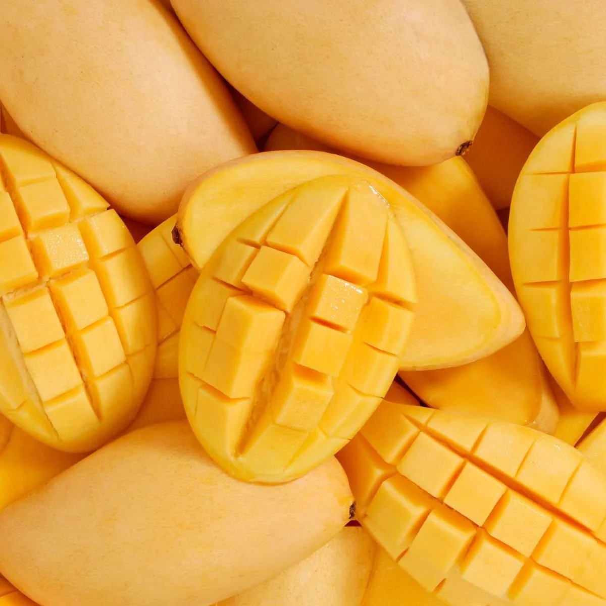 Top 3 Sweetest Mangoes in the USA Reddy's